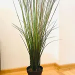 Cozy 1 Bedroom Flat, Ultracentral, Free Wifi Apartamento *