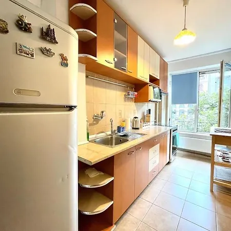 Ultra-central View 1 Bedroom With Balcony & Free Wifi * Bukarest