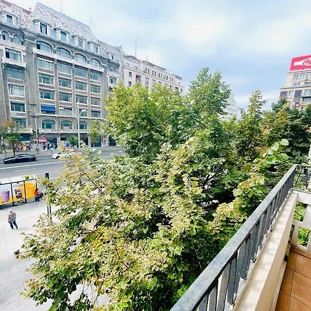 Cozy 1 Bedroom Flat, Ultracentral, Free Wifi Apartment Bucharest