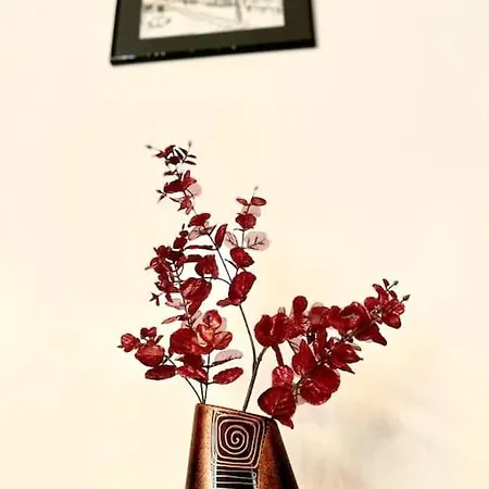 Apartment Cozy 1 Bedroom Flat, Ultracentral, Free Wifi Bucharest