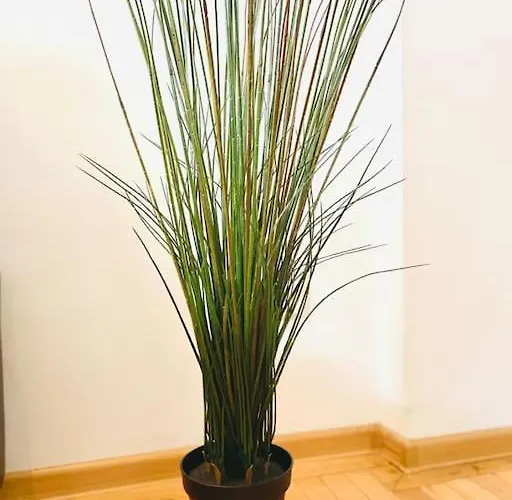 Cozy 1 Bedroom Flat, Ultracentral, Free Wifi 公寓 *